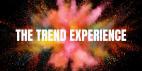 The Trend Experience