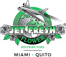 Jet Fresh Flower Distributors
