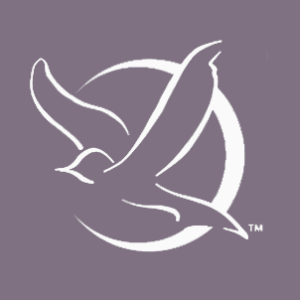 Association of Wedding Gown Specialists
