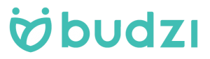 Budzi